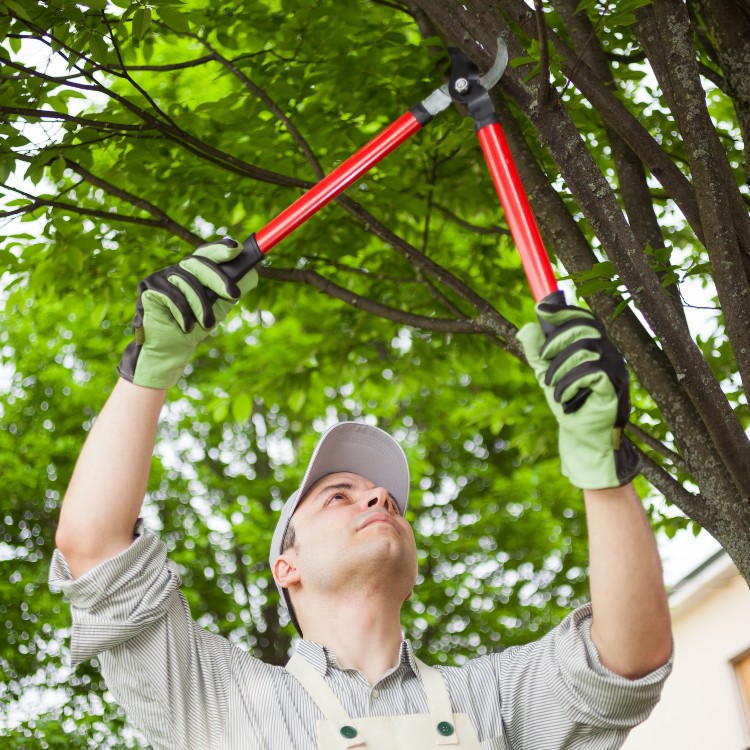 Home Solutions in St Cloud, MN